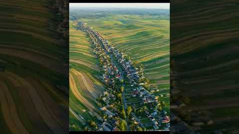 Increasing population and shortage of food