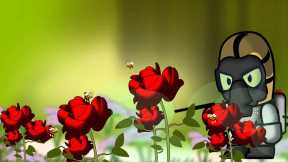 Don't Kill The Bees! Move 'Em