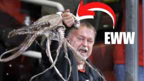 10 Craziest Things Fans Have Thrown at Sporting Events