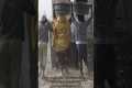 Gaza Crisis Worsens: Dozens Killed