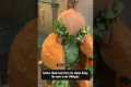Lettuce thank katy Perry for always