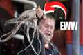 10 Craziest Things Fans Have Thrown