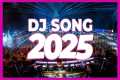 DJ SONG 2025 - Remixes & Mashups