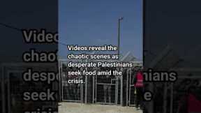 US Contractors Fire Live Ammo Amid Food Crisis in Gaza #shortsfeed #breakingnews #news