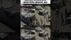 #gaza | Humanitarian Agencies Warn of Starvation Crisis as Gazans Seek Help #gazagenocide #shorts