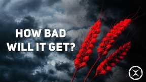 The Global Food Shortage the UN warns about is coming in 2023