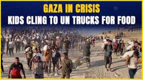 Desperate Scenes in Gaza: Children Climb UN Trucks Amid Flour Shortage & Famine Fears