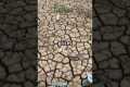 Global Food Crisis Explained – What’s 