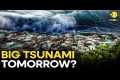 Japan Tsunami Incoming? Tourists