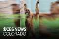 Denver Zoo Conservation Alliance