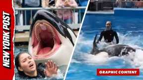 Was Orca trainer Jessica Radcliffe really killed by a killer whale? The truth about the viral story