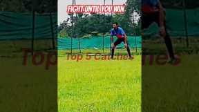 💪🔥fight until you win #cricket #viral shorts #trending #cricketgear #sports #independenceday .