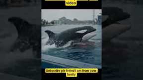 jessica radcliffe Original incident viral on social media #jessica #dolphinshow #jessicalastshow