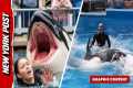 Was Orca trainer Jessica Radcliffe