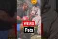 CELEBRITIES WHO HAVE WEIRD PETS 🤯