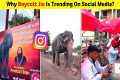 Why Boycott Jio is Trending On Social 