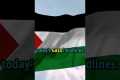 Gaza Aid Crisis: 74 Killed, Aid