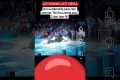 dolphins attack girl jessica #orca