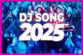 DJ SONG 2025 - Remixes & Mashups