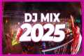 DJ MIX 2025 - Remixes & Mashups