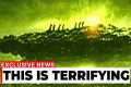 James Webb Telescope Leaks New
