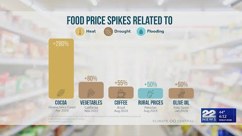 Extreme weather events drive up food prices, study shows