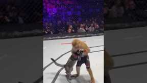 Big Fight cat VS Monkey #ufcanimalfight #soraai #sora #shorts #shortsfeed #trending #animalfights
