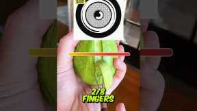 Only Real Social Media Users Know These Trending Tracks 💥📱