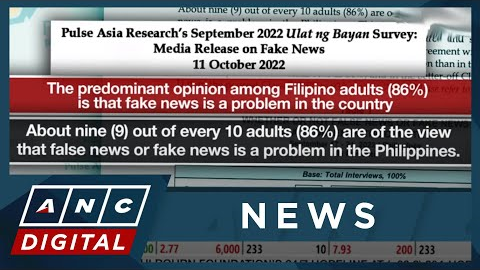 Social media influencers are 'top spreaders' of fake news in PH: survey | ANC