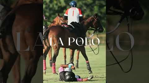 Dangerous polo sport video #shorts #sports #polo #lapolo