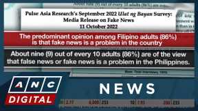 Social media influencers are 'top spreaders' of fake news in PH: survey | ANC