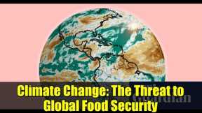 Climate Change: The Threat to Global Food Security | Extreme Weather & Crop Yields