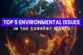 Top 5 Environmental Issues In The