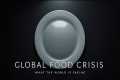 Global Food Crisis – What the World