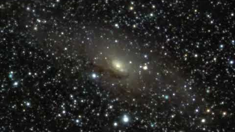 Circinus Galaxy Zoom — James Webb Space Telescope