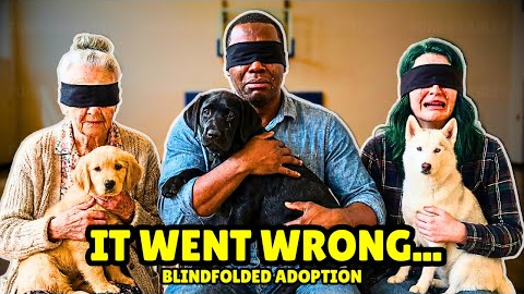 We Blindfolded 45 Strangers And Let Shelter Dogs Choose Their Owners 🥹