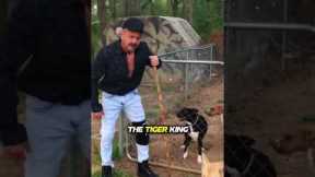 Celebs who will likely die in prison #trending #reels #viral #celebrity