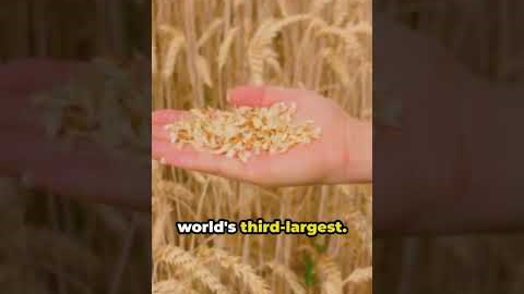 The Global Food Crisis: What's Causing It. How Can We Solve It #worldnews  #globalissues  #gptrends