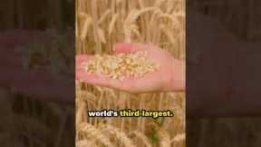 The Global Food Crisis: What's Causing It. How Can We Solve It #worldnews  #globalissues  #gptrends