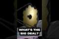 Why Is The James Webb Telescope