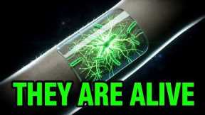 WARNING: Your Bandage Is Alive 