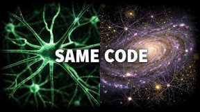 STOP: Your Brain Is The Universe 