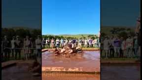 girls fight in mud part 111 #wwe #mma #shorts #viral #trending #sports #news #wrestling