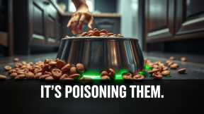 STOP: Why Your Canine Food Is A Lie 