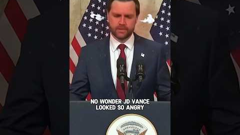 No wonder JD Vance looked so angry #shorts #shortvideo #trending #actress #celebrity