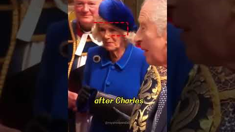 Did you notice Camilla's three rude behaviors #actor #entertainment #celebrity