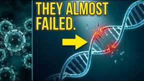 Your DNA Exposes 5 Times Humanity Almost Went Extinct-- The 6th Is Us 