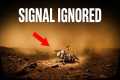The NASA Lander That Found Life on